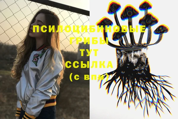 индика Волосово