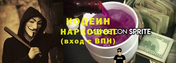 индика Волосово