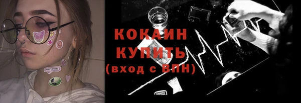 индика Волосово