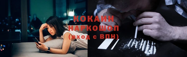 индика Волосово