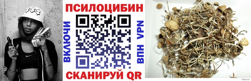 Псилоцибиновые грибы Psilocybine cubensis  Назрань 